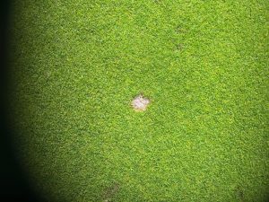 pitch4